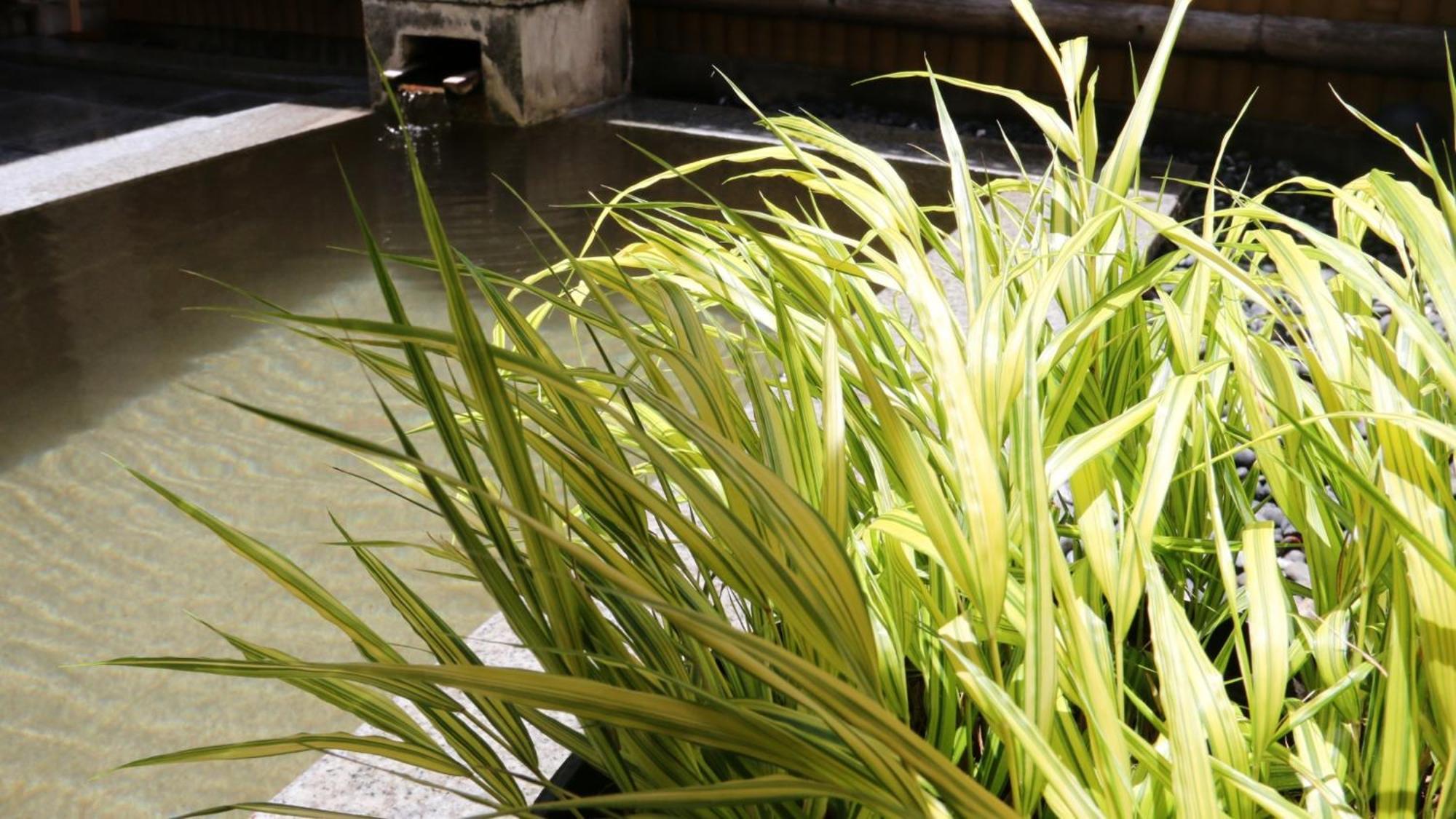 Baigetsu Ryokan Shimosuwa Zewnętrze zdjęcie